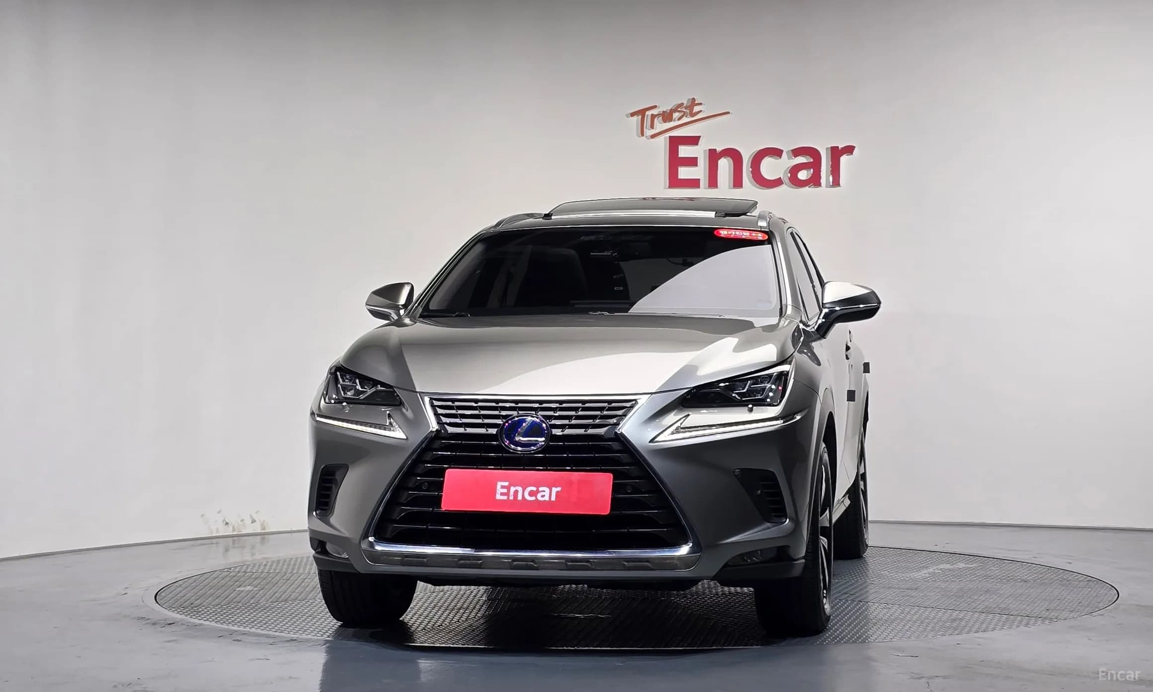NX300h