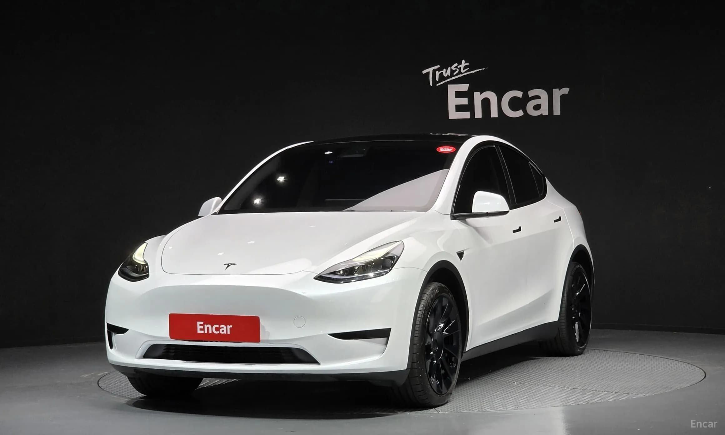 Model Y