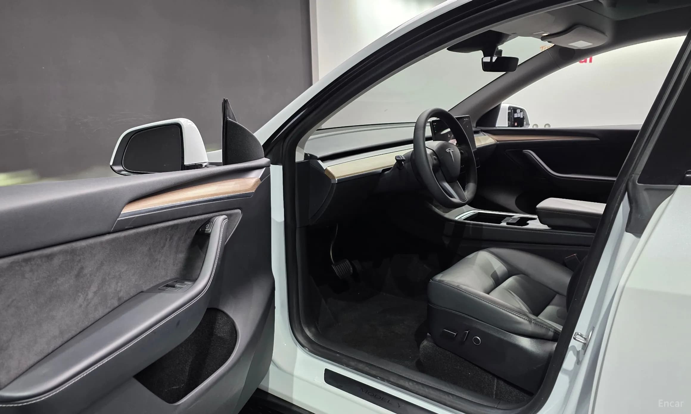 Model Y