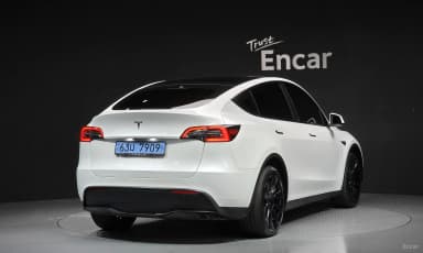 Model Y