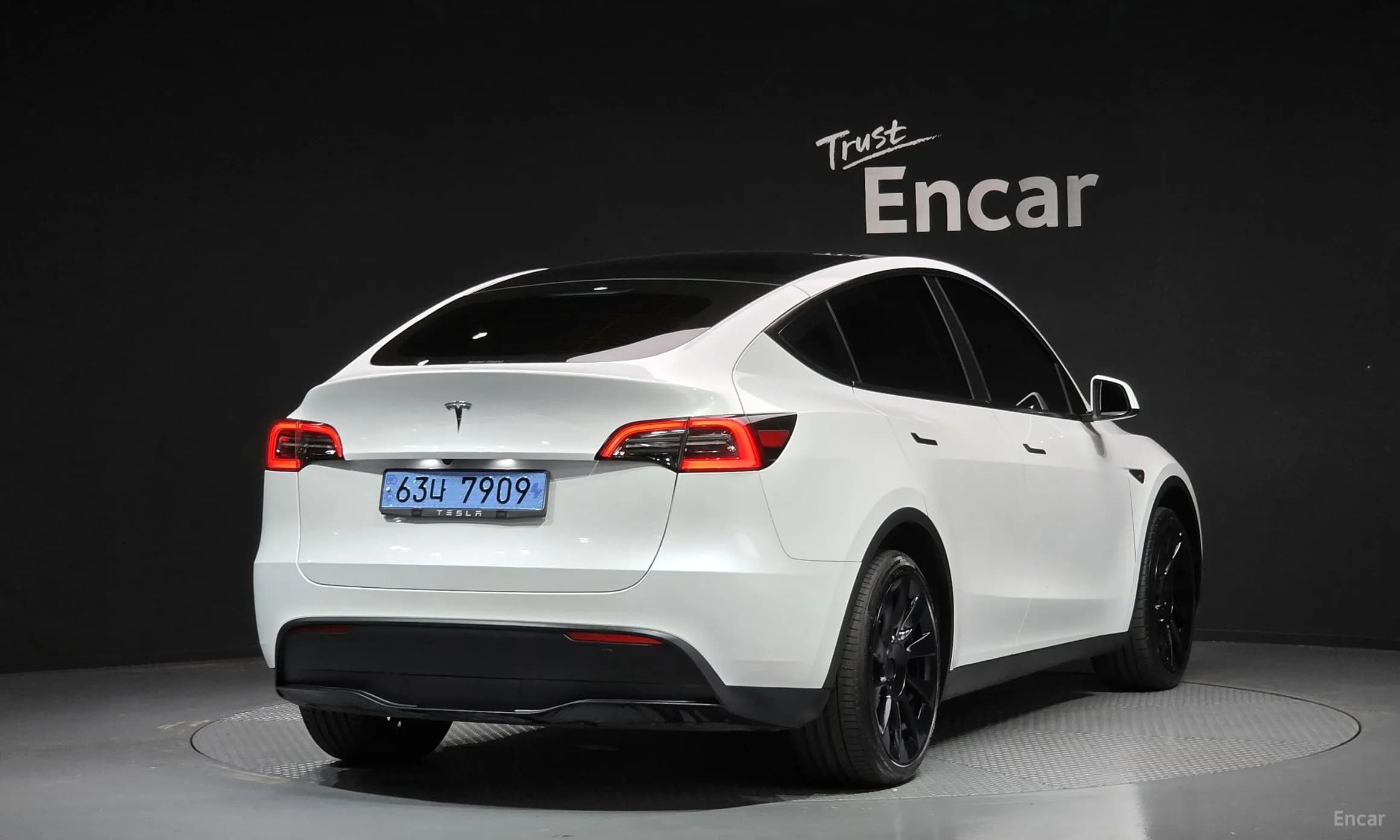 Model Y