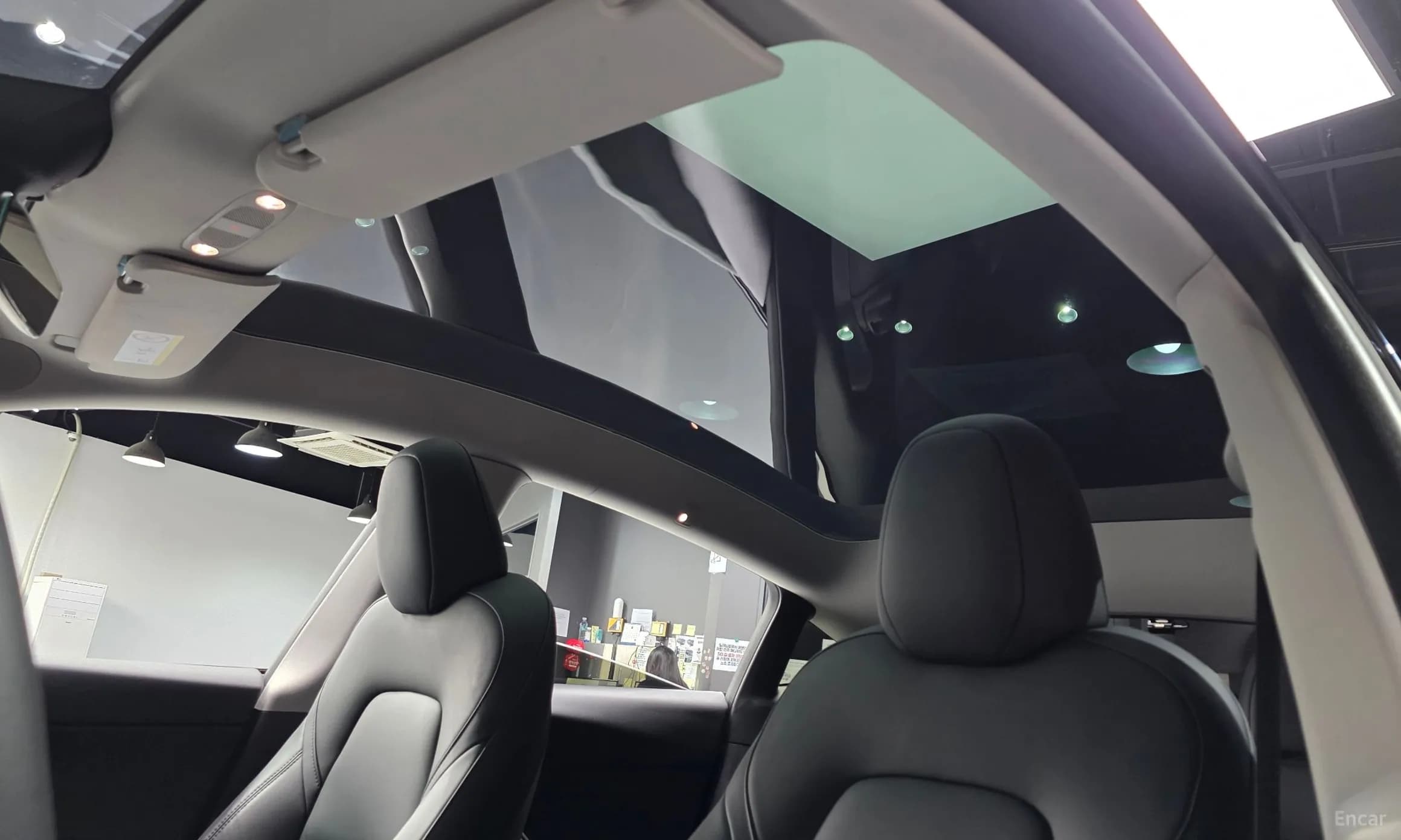 Model Y