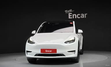 Model Y