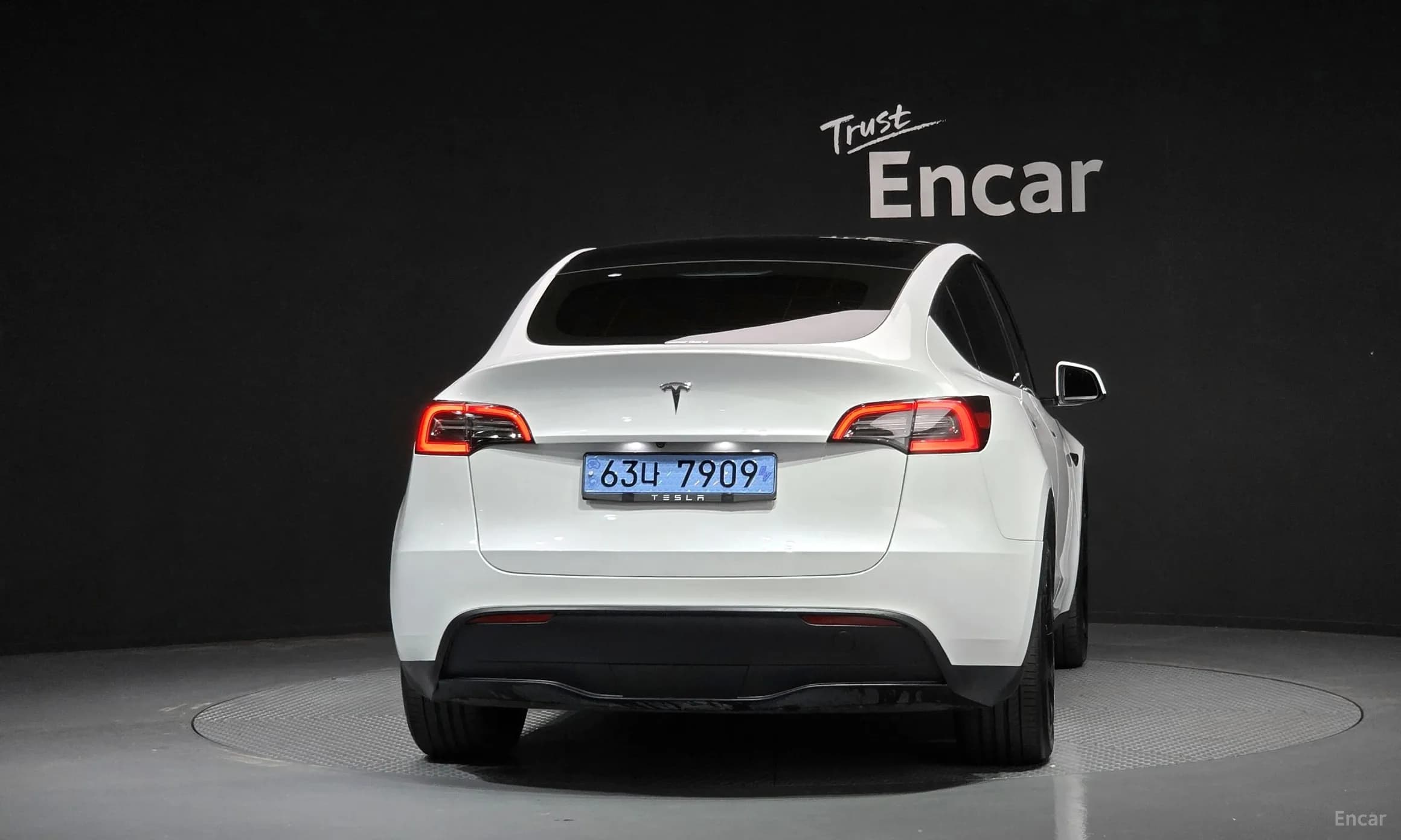 Model Y