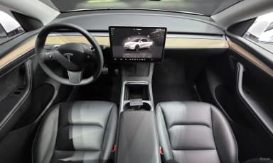 Model Y