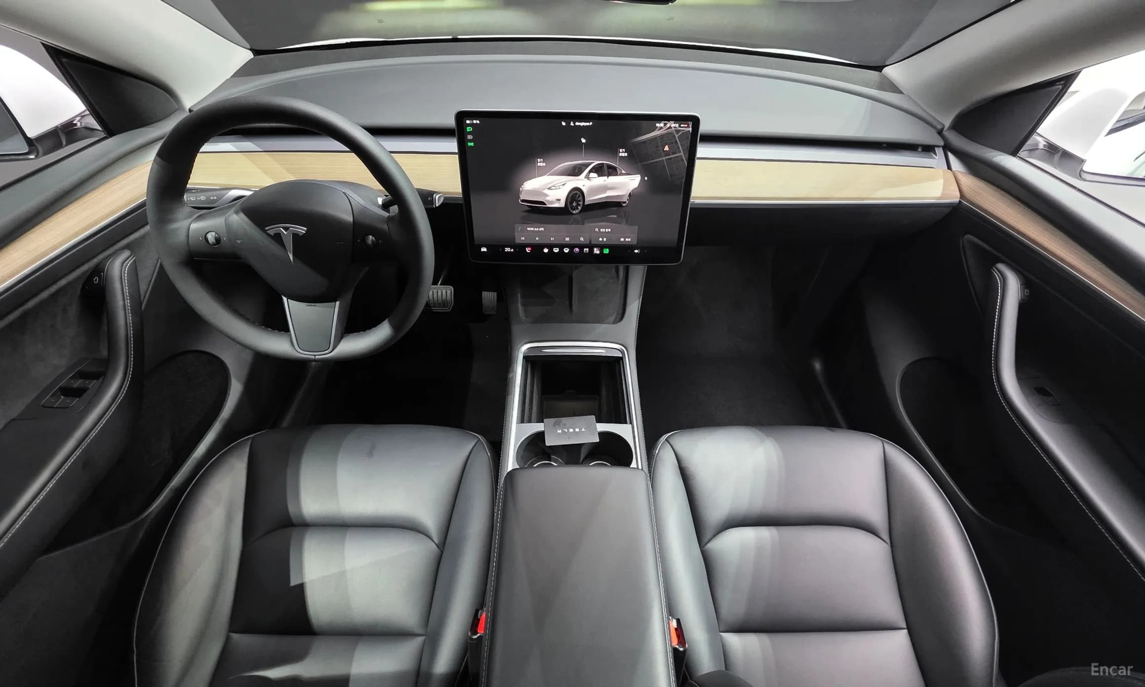 Model Y