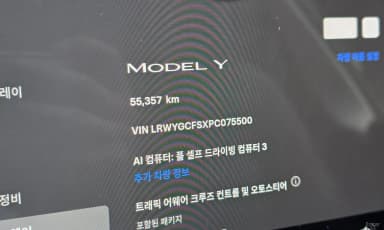 Model Y