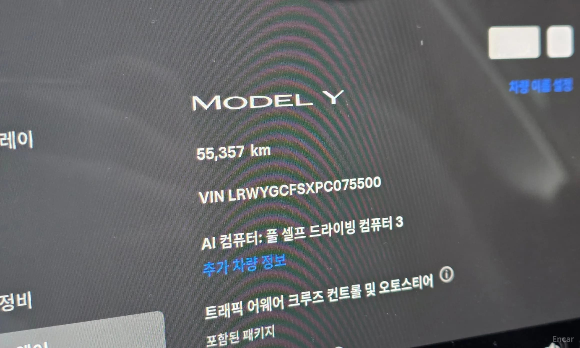 Model Y