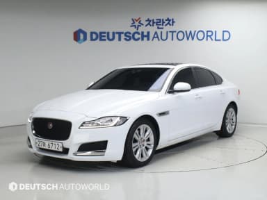 XF (x260)