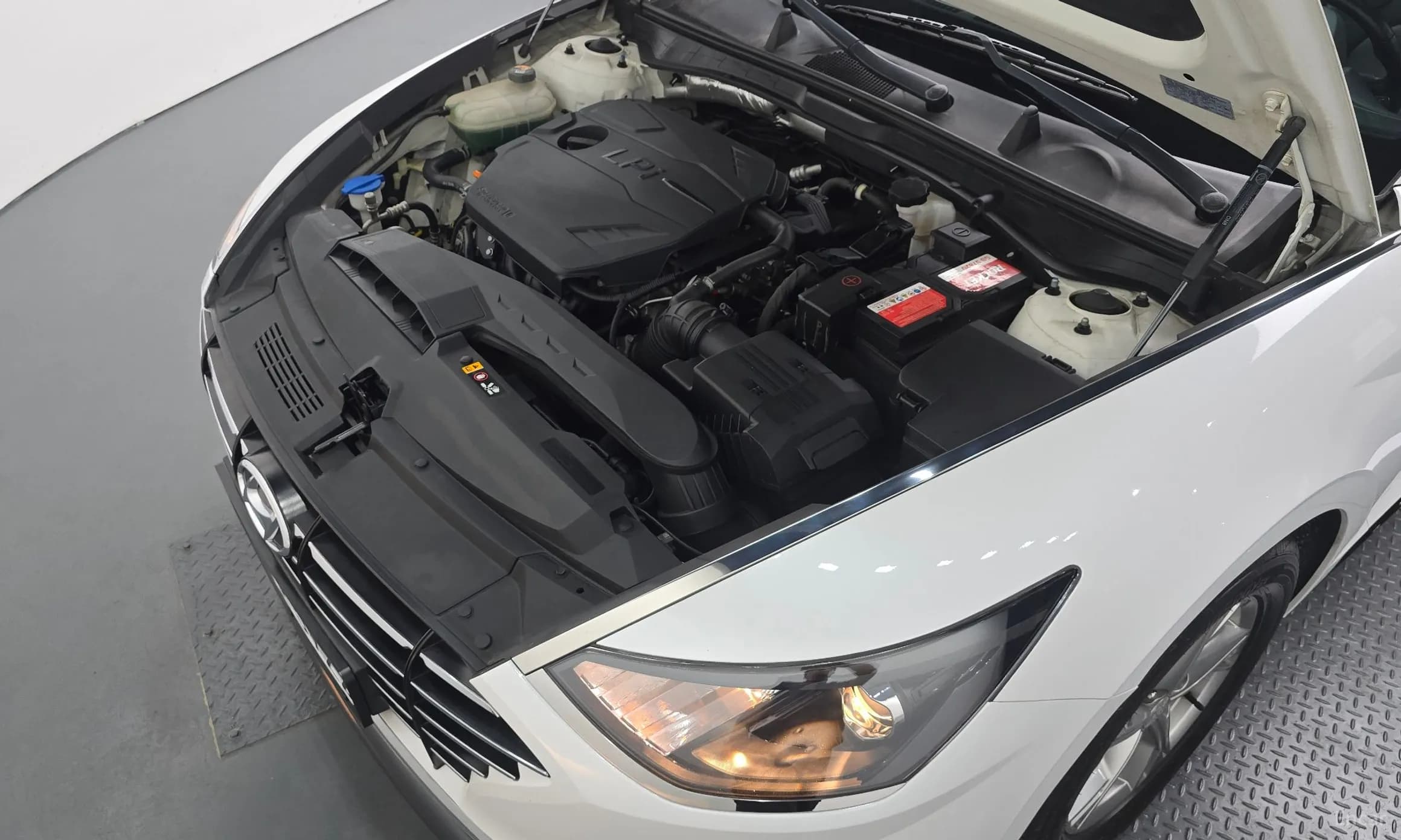 Sonata (DN8)