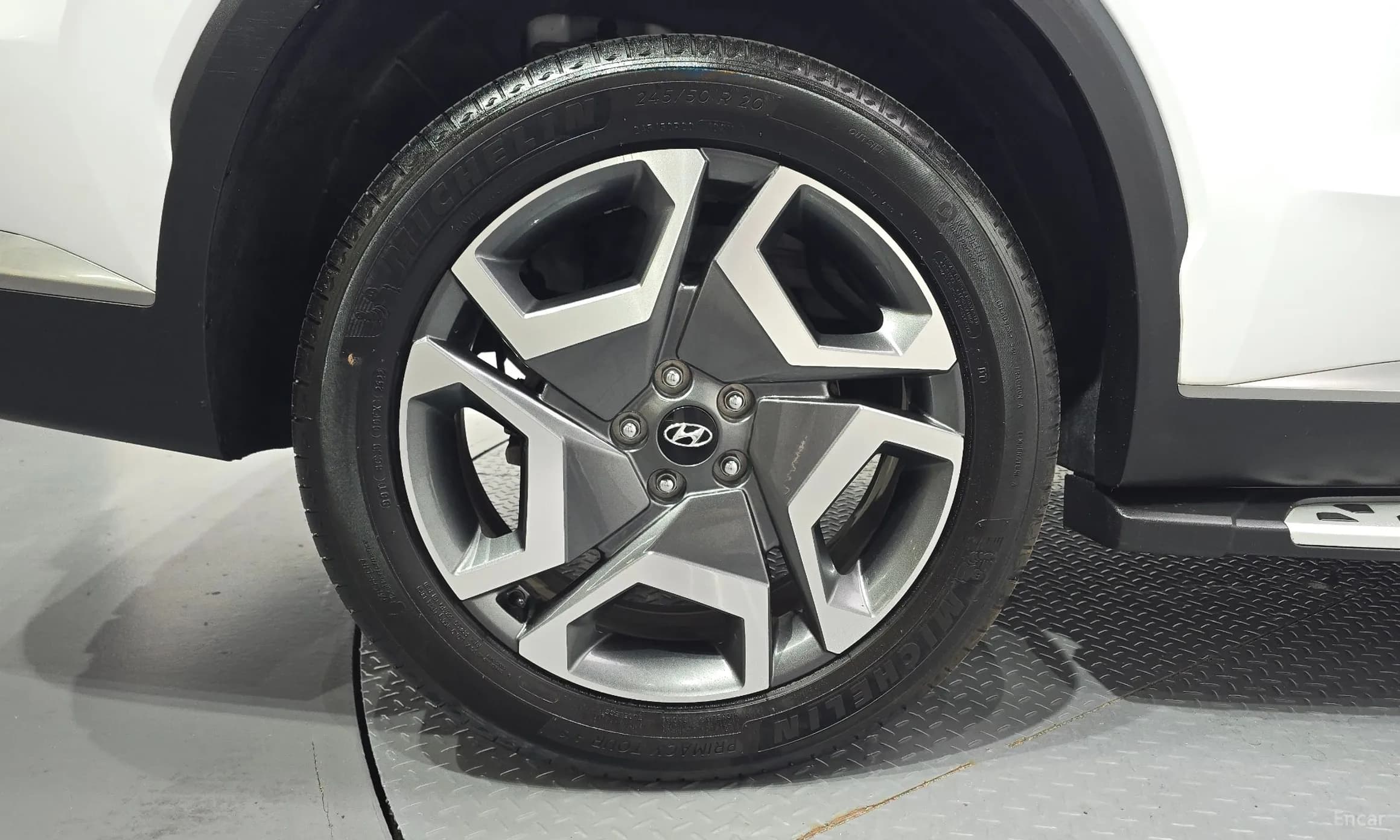 Palisade