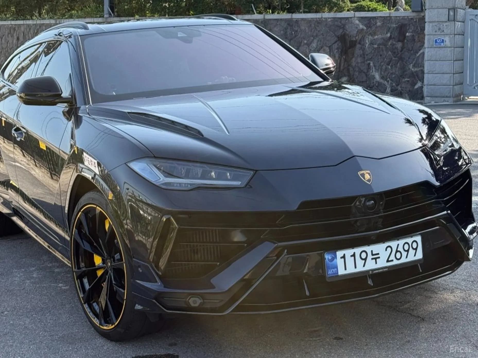 Urus