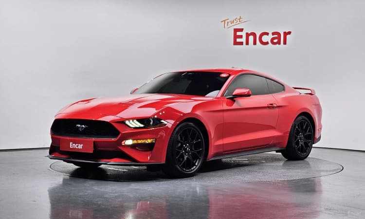 Mustang