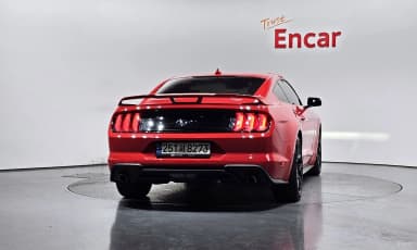 Mustang