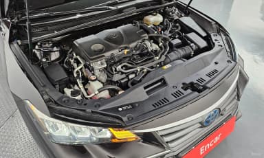 Avalon 5th Generation