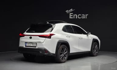 UX250h