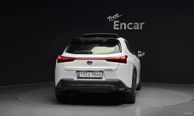 UX250h
