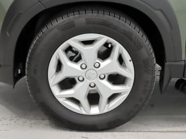 Rexton Sports
