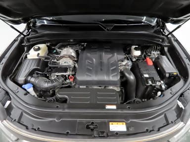 Rexton Sports