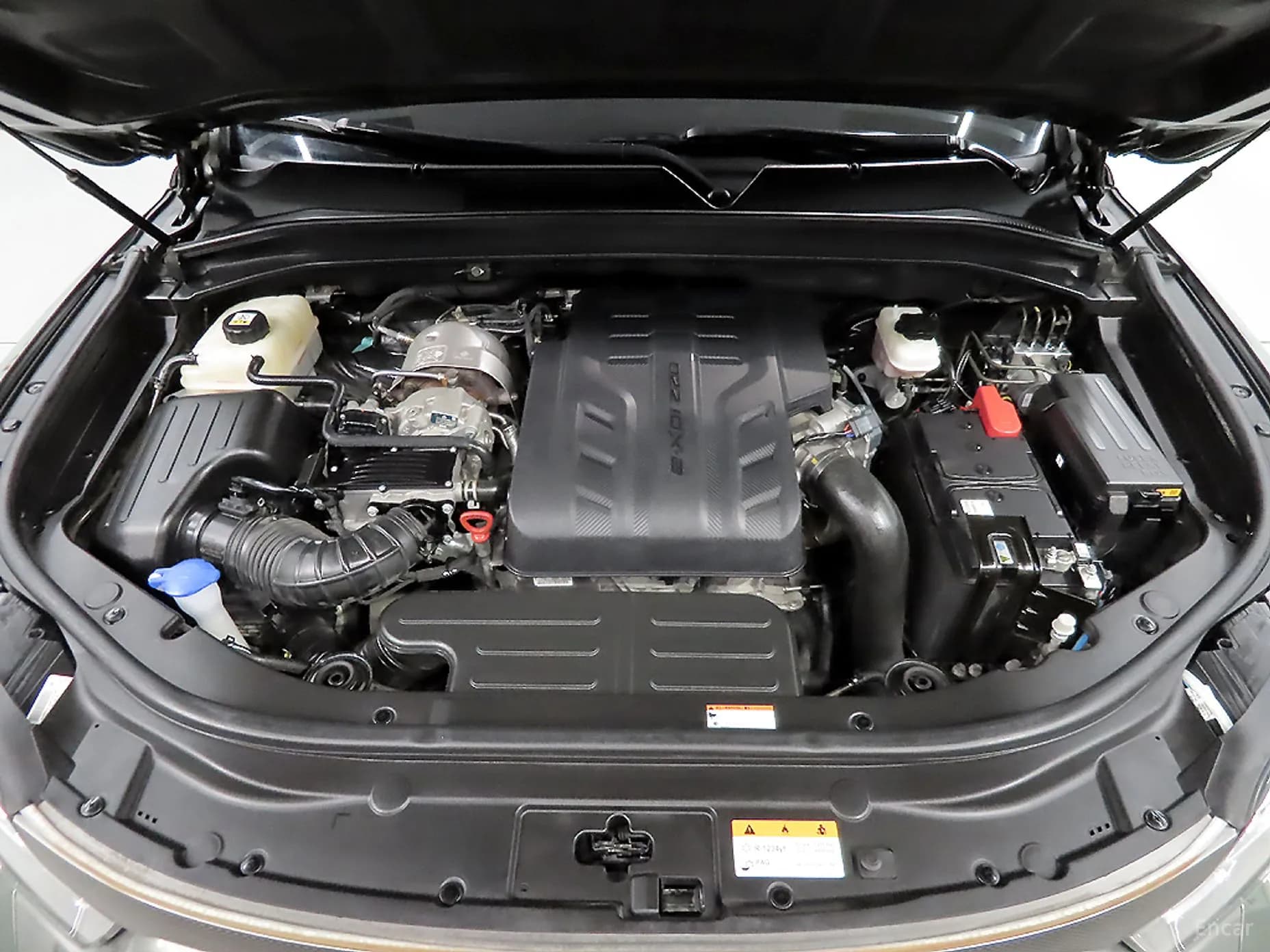Rexton Sports