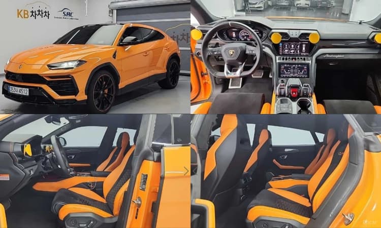 Urus