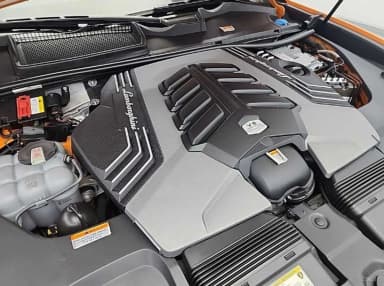 Urus