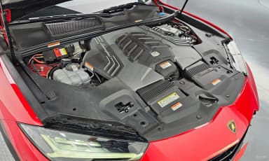Urus