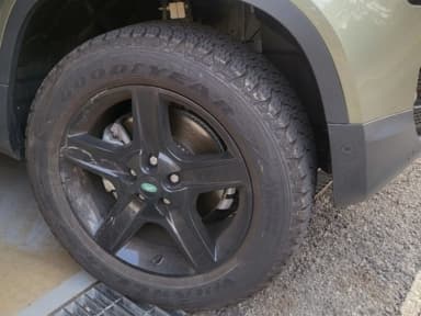 Defender (L663)
