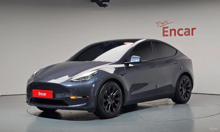 Model Y