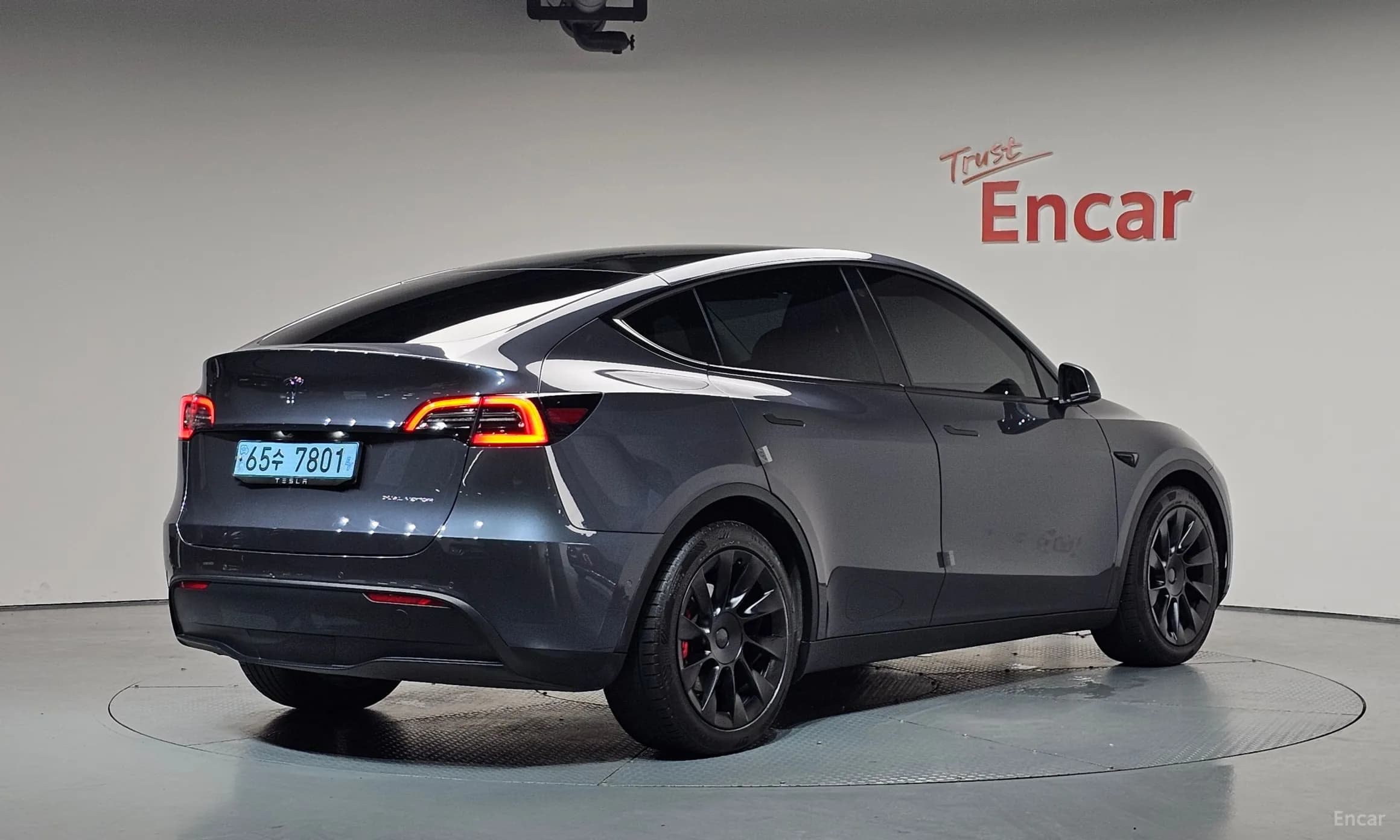Model Y