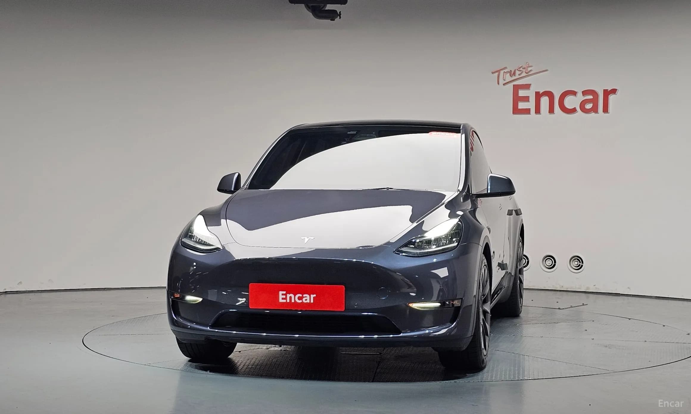 Model Y