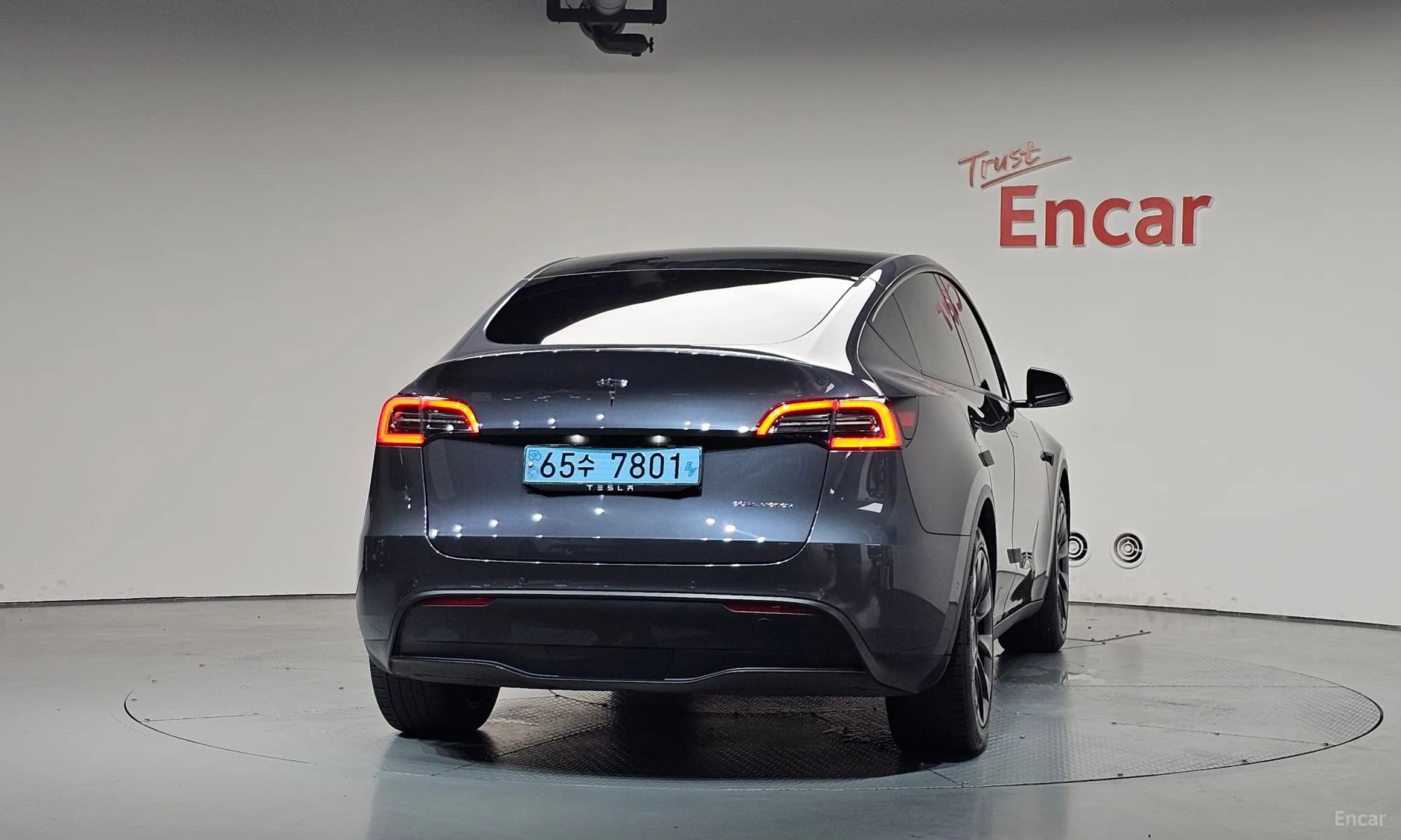Model Y