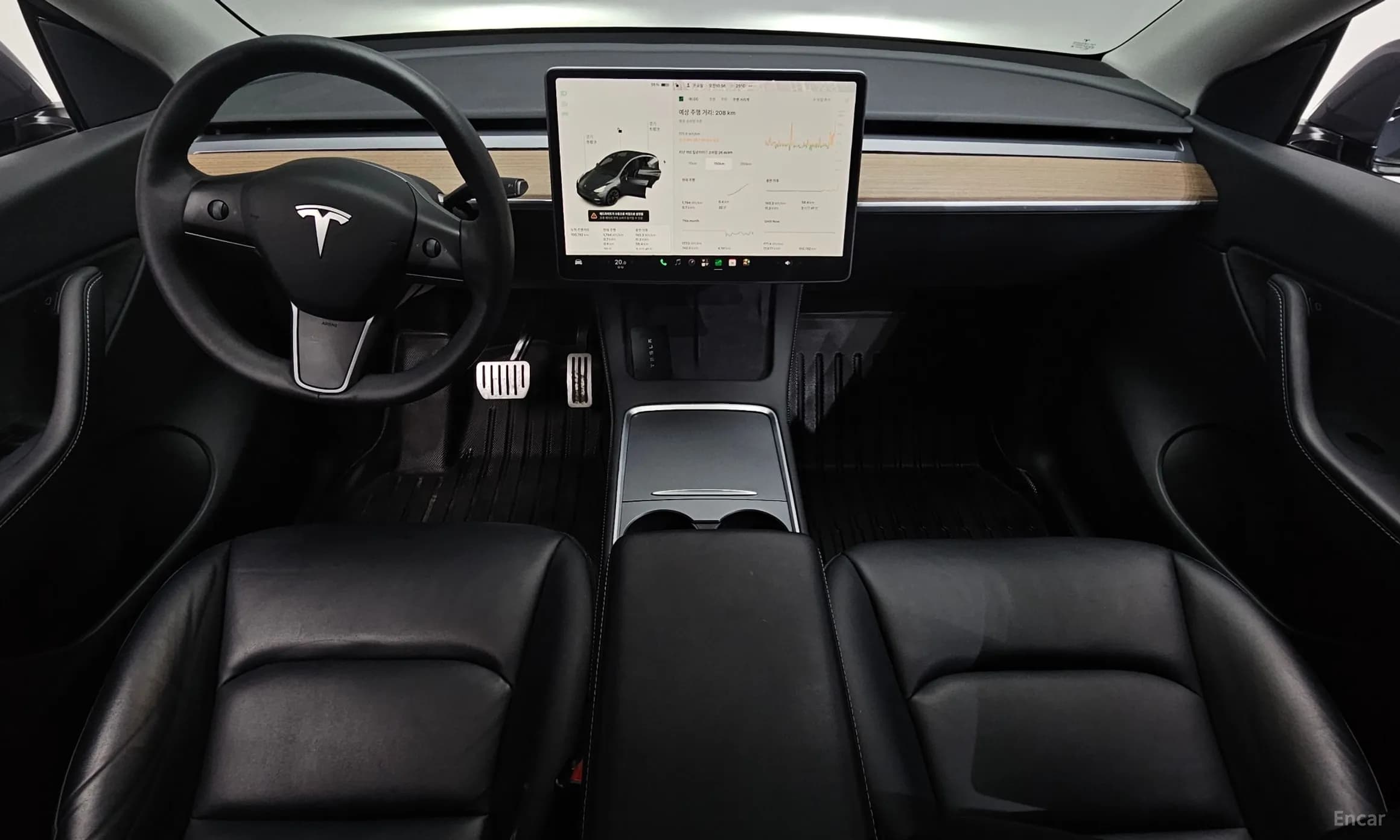 Model Y