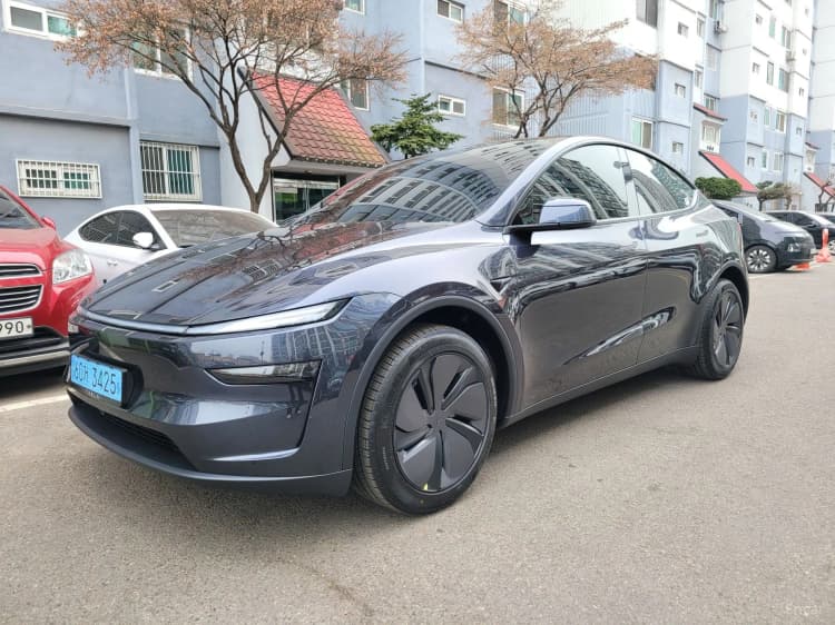 Model Y