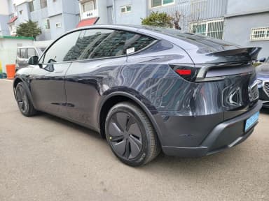 Model Y