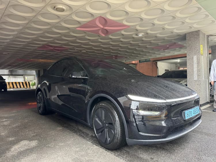 Model Y