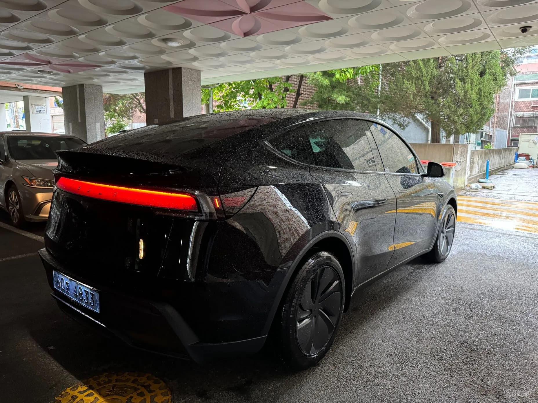 Model Y