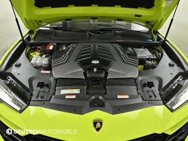 Urus