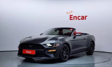 Mustang