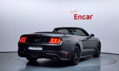 Mustang