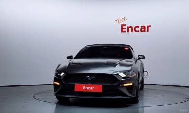 Mustang