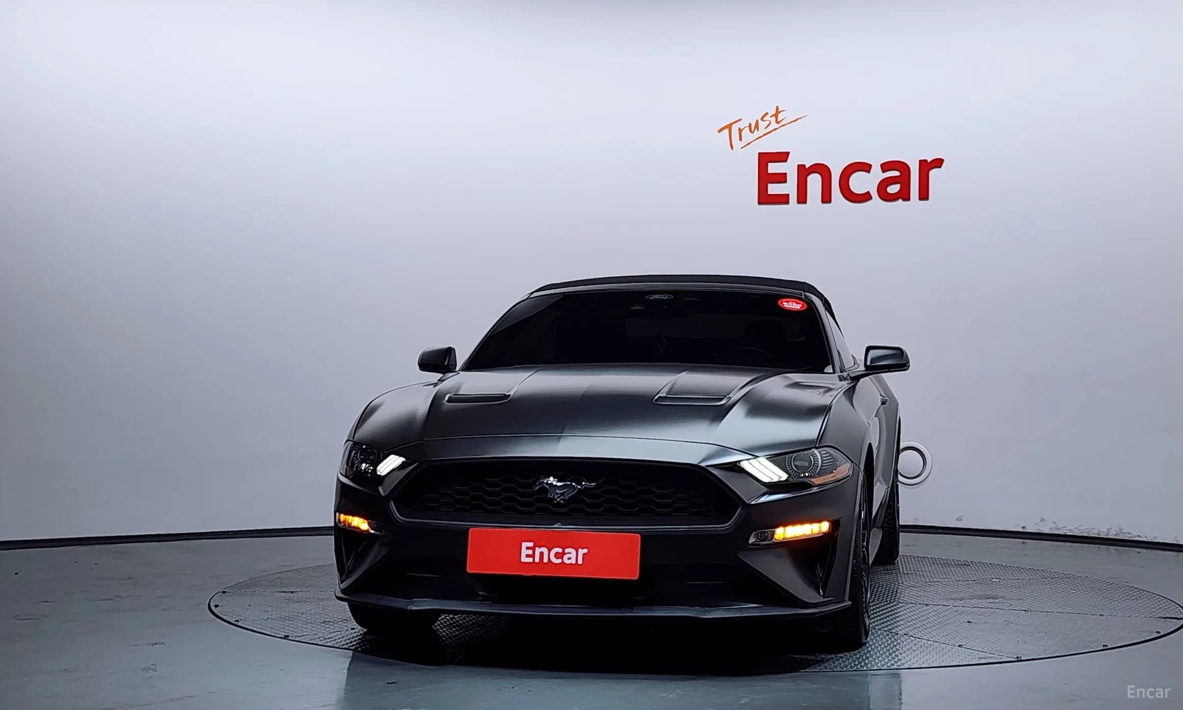 Mustang