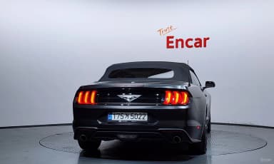 Mustang