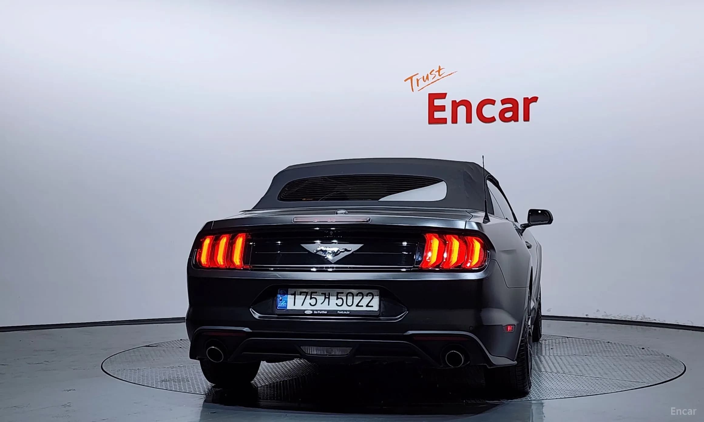 Mustang