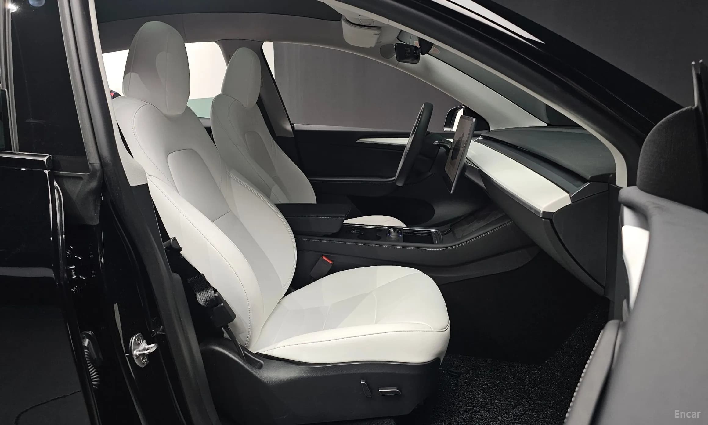 Model Y