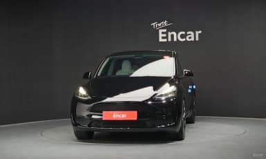 Model Y