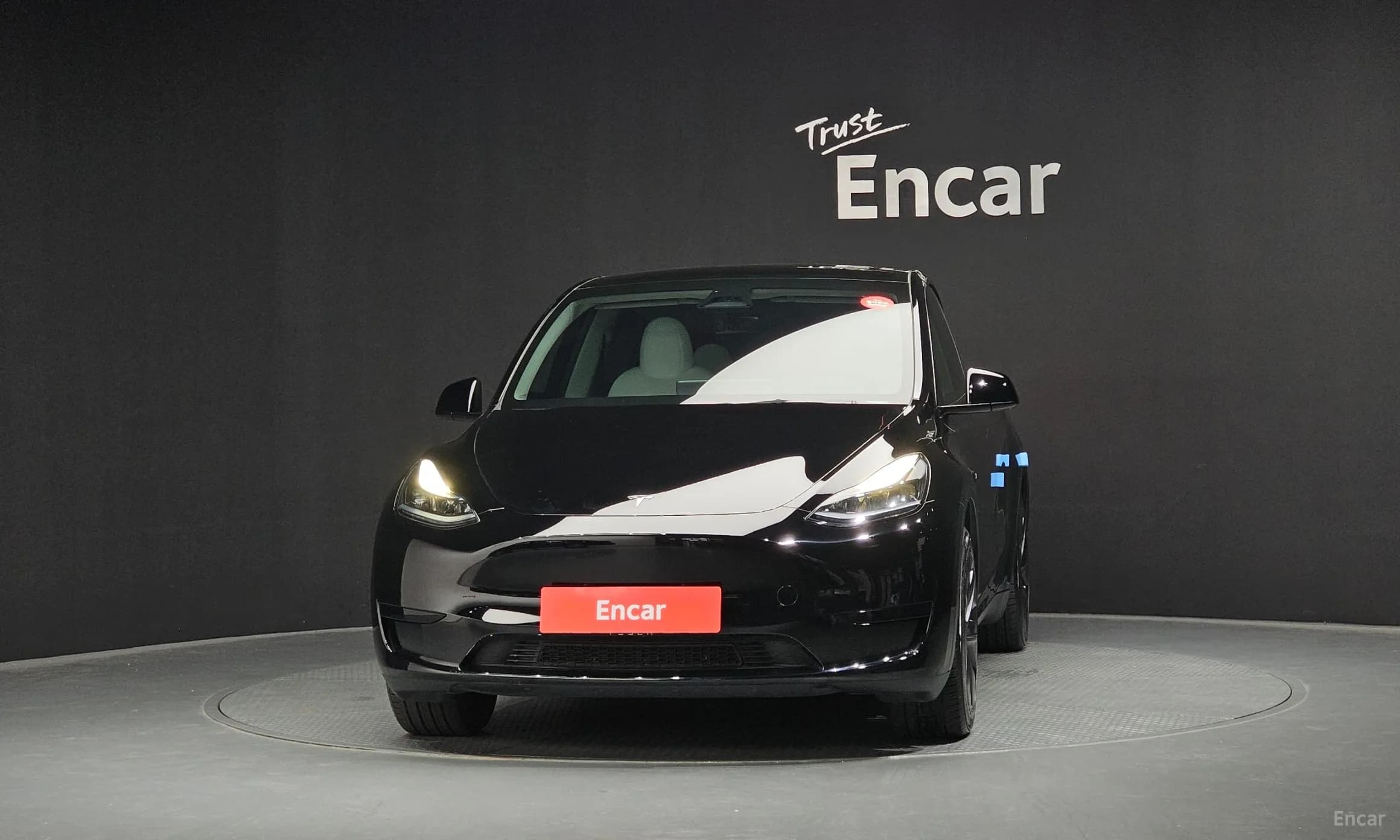 Model Y