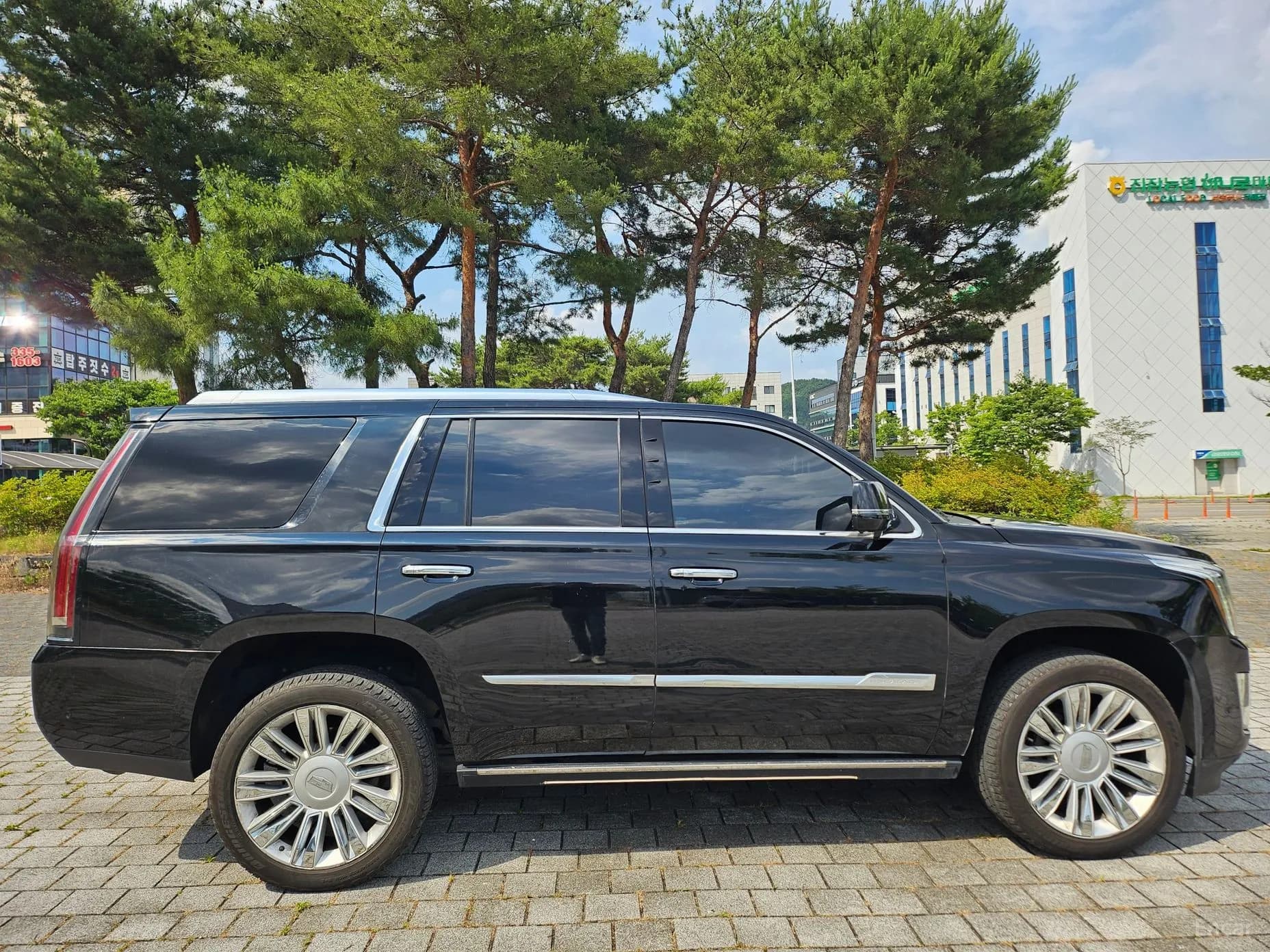 Escalade