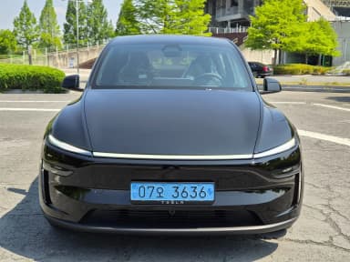 Model Y