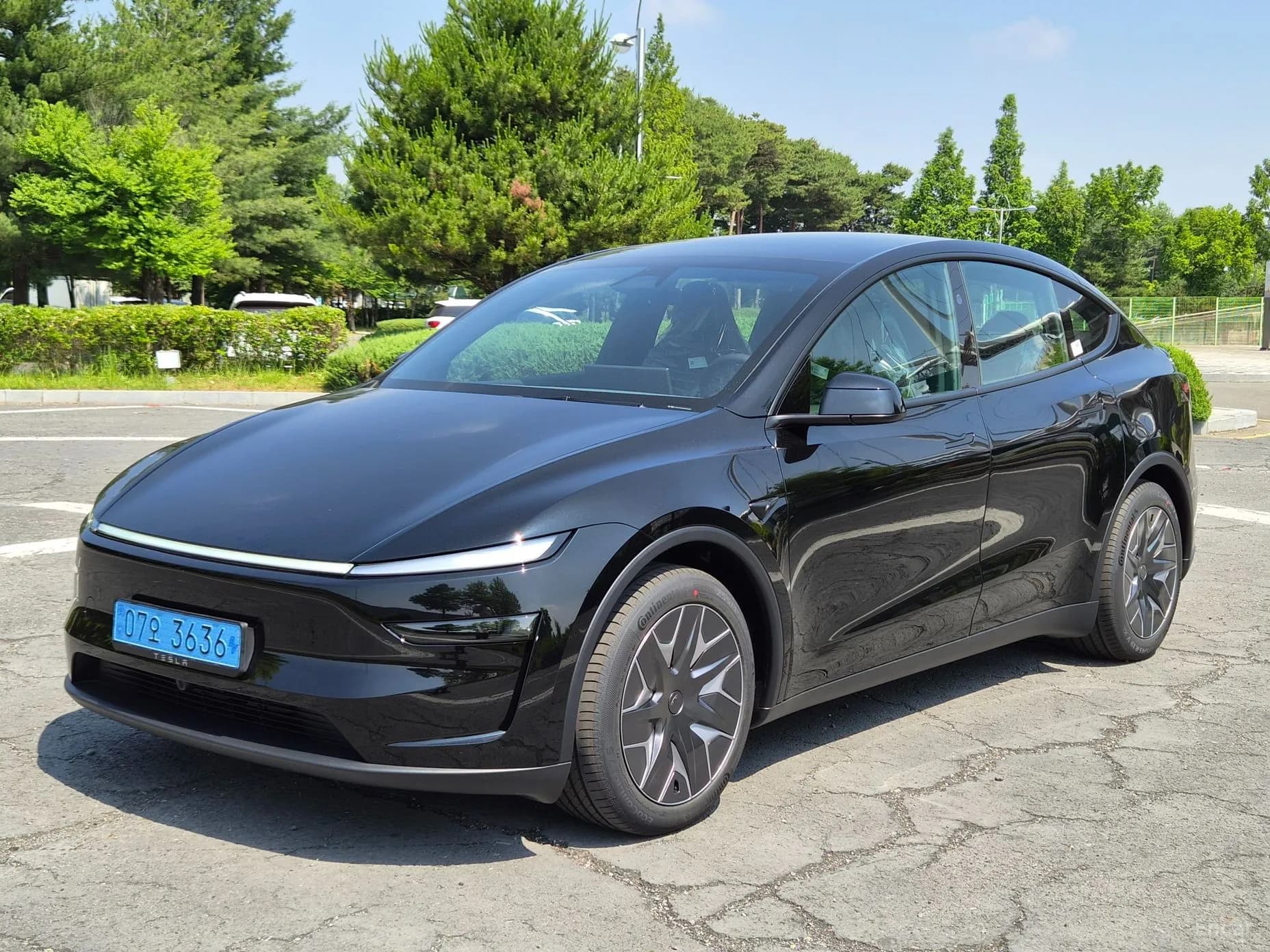 Model Y